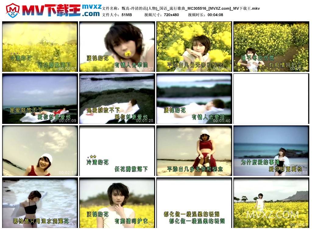 甄真-冷清的花(人物)_国语_流行歌曲_MC305516